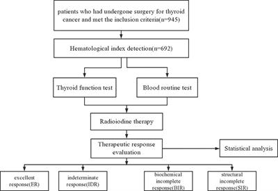 The potential association of peripheral inflammatory biomarkers in patients with papillary thyroid cancer before radioiodine therapy to clinical outcomes